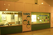 新しい農業コーナー