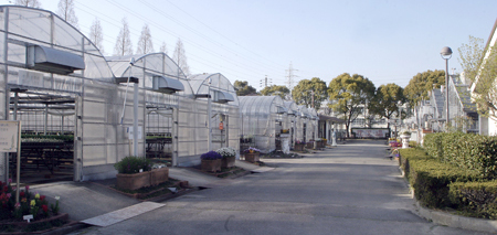 花工場全景