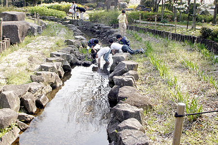 荒子川公園