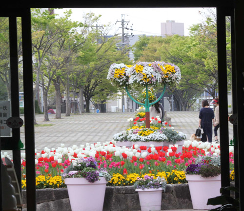 sankgarden