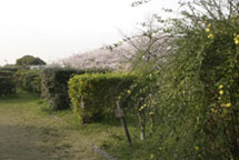 見本園