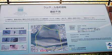 藤前干潟パネル